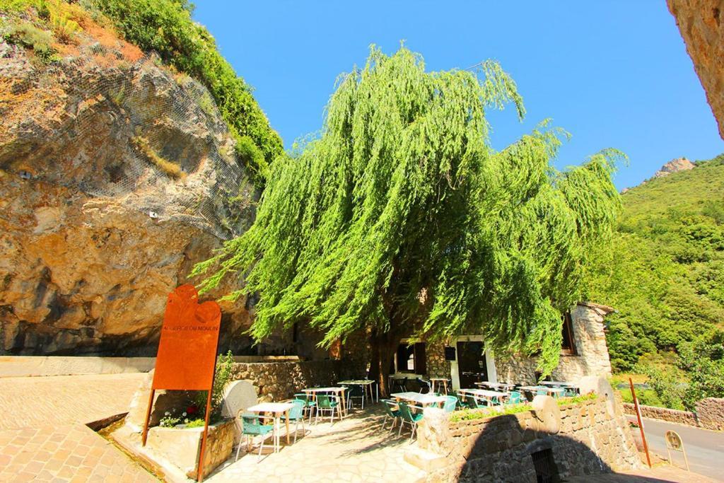 Hostellerie Du Vieux Moulin Дюйак Экстерьер фото